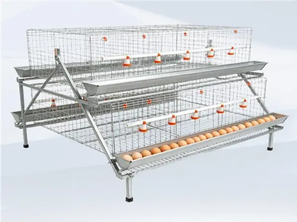How to Choose Chicken Cages for Farms
