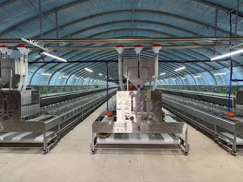 Intelligent, Building-Based Three-Dimensional Farming Becomes Core Development Direction for Large-Scale Rabbit Cage Systems, Land Utilization Rate Boosted by 6 Times