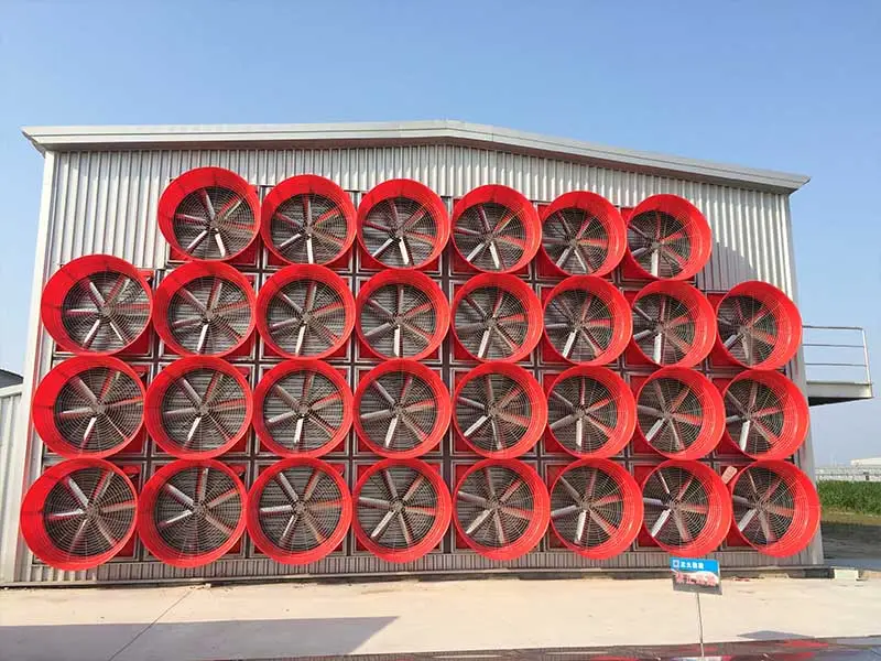 Industry Cluster Forming, One Stop Whole Factory Solution Becomes the Core Barrier to Competition in the Large Scale Rabbit Cage Industry