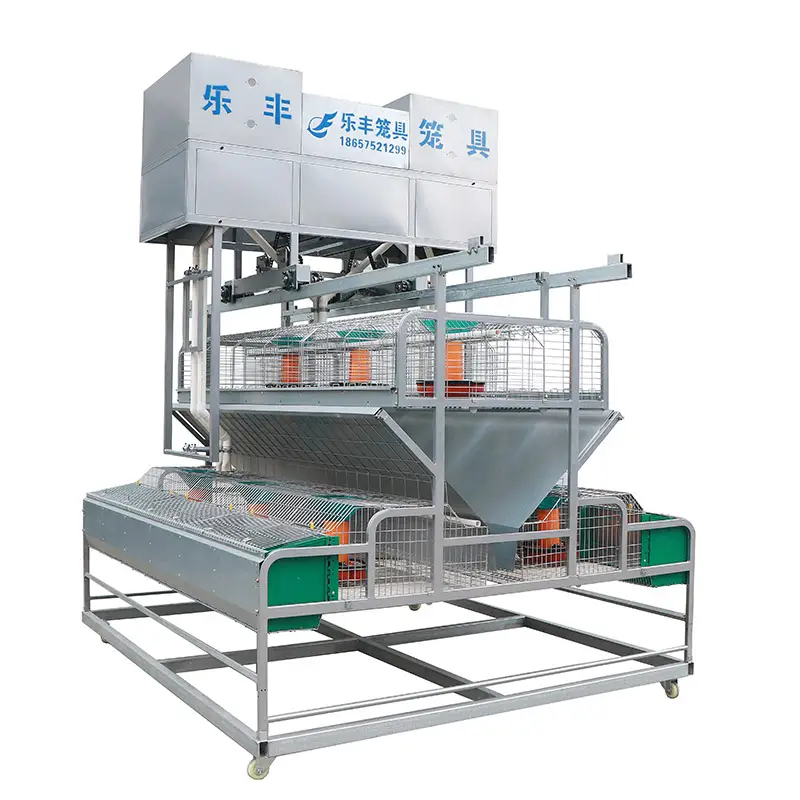 Automatic European Style Rabbit Cage 2-Tier Galvanized Wire Commercial Rabbit Breeding Cage With Auto Feeding Manure Cleaning System Lefeng LF-AR02