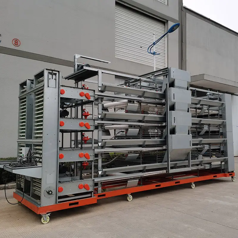 Customized H-type 4-tier stacked fully automatic layer cage system