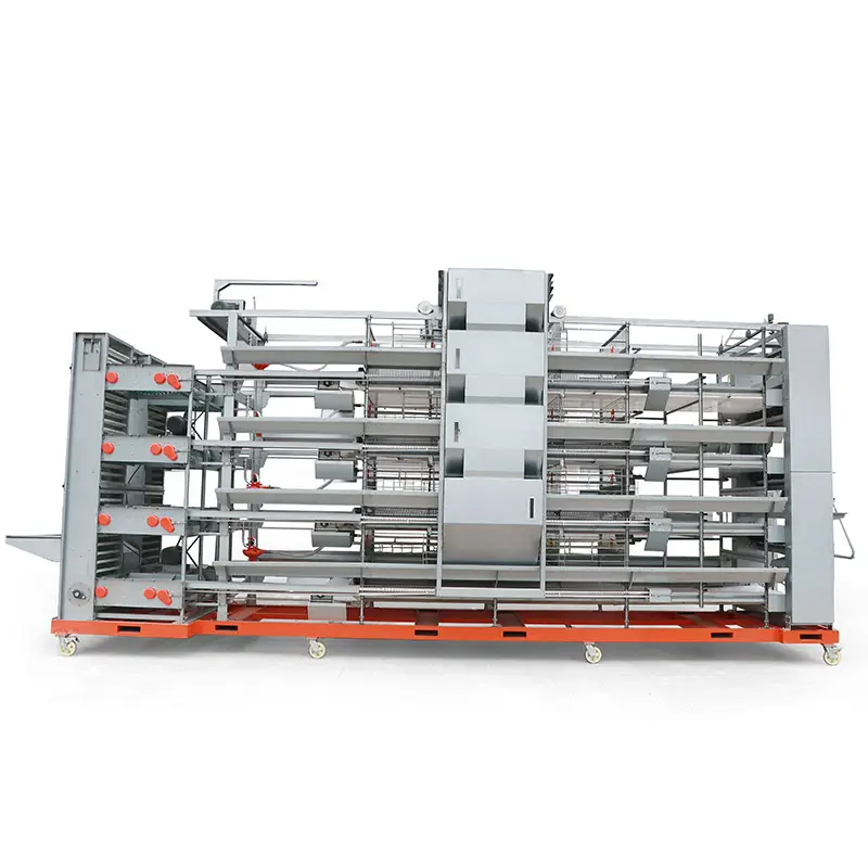 Customized H-type 4-tier stacked fully automatic layer cage system