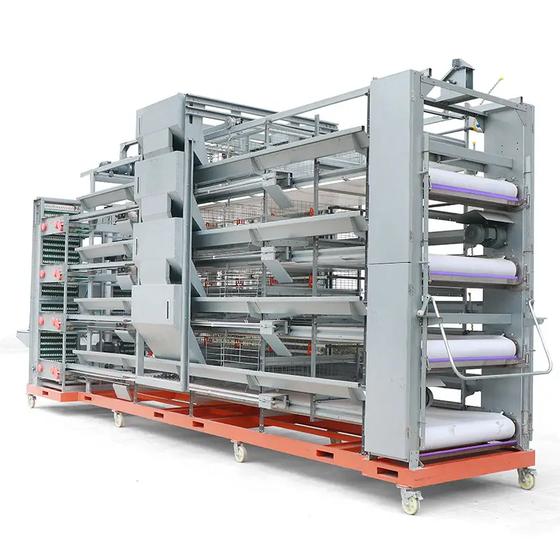 4-Tier Automatic Layer Chicken Cage Hot Galvanized Poultry Breeding Equipment With Auto Feeding Egg Collection Manure Belt System Lefeng LF-CK04