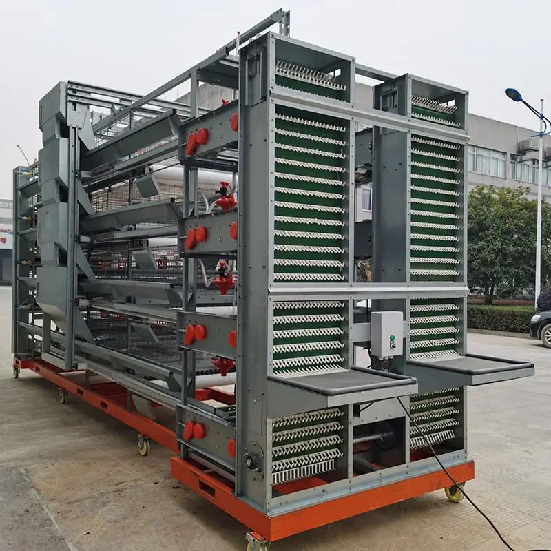 Customized H-type 4-tier stacked fully automatic layer cage system