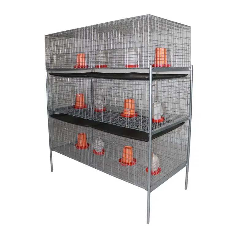 3-Tier Hot Galvanized Baby Chick Brooder Cage With Plastic Feeder Drinker Flat Manure Board Poultry Brooding Cage Lefeng LF-BC03