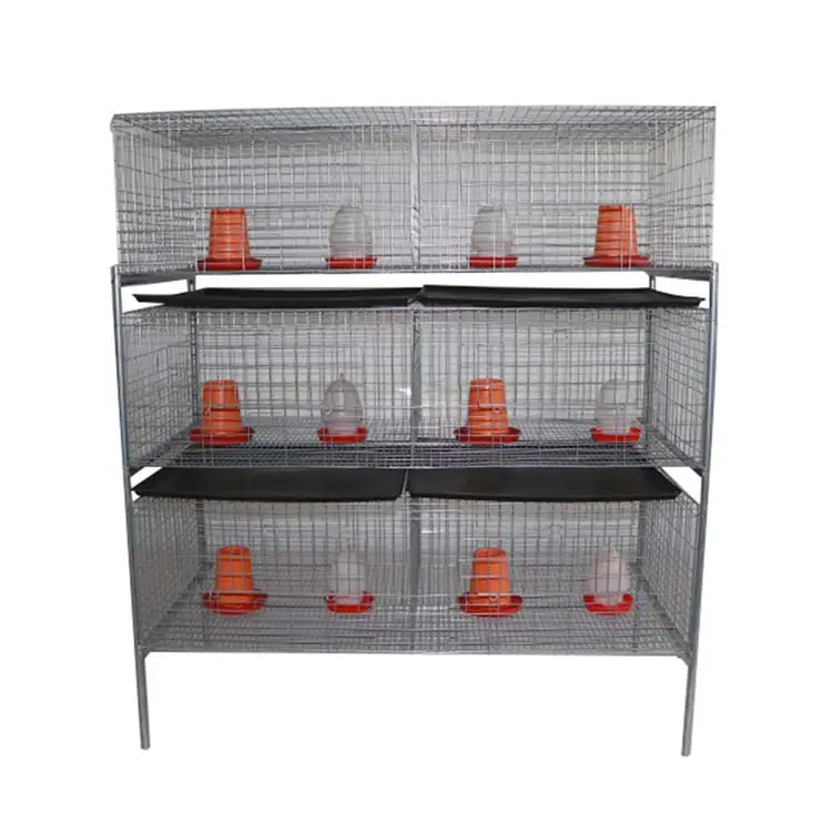 3-Tier Hot Galvanized Baby Chick Brooder Cage With Plastic Feeder Drinker Flat Manure Board Poultry Brooding Cage Lefeng LF-BC03