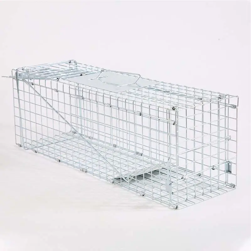 Galvanized Wire Humane Rat Trap Cage Single Door Live Animal Rodent Catch Cage Lefeng LF-T01 For Mouse Squirrel Control
