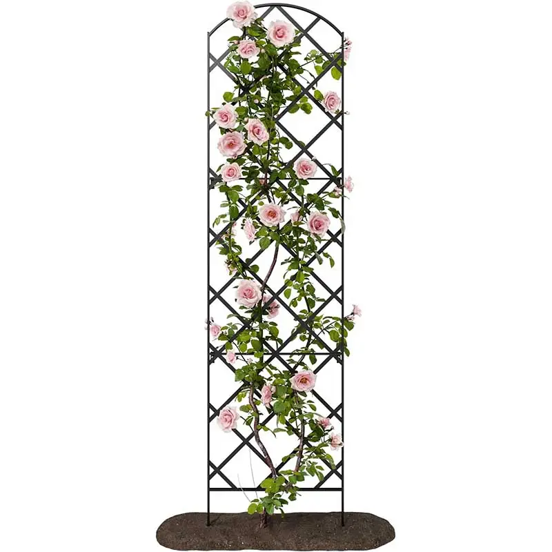 Black Metal Wall Trellis for Climbing Plants, Garden Lattice Support for Rose, Vine, Clematis