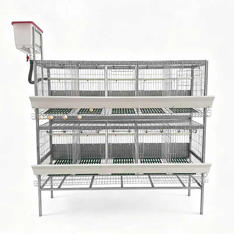 2-Tier Ladder Type Galvanized Layer Duck Cage Automatic Water System Egg Collection Trough Farm Breeding Equipment